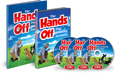 Non Shedding Dog Breeds - Dog Training