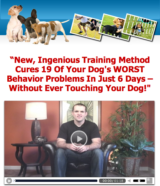 Crate Training, and more!