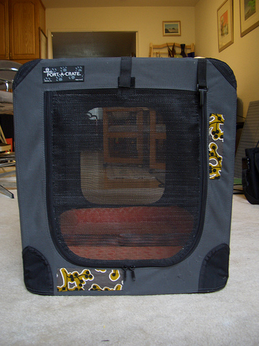 puppy crate training puppy crate training