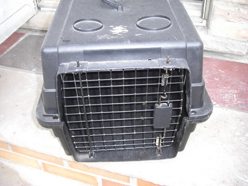 puppy crate training puppy crate training