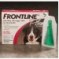 Why Frontline For Dogs is My Favorite