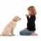 Avoid Dog Training Mistakes
