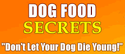 best dog food secrets